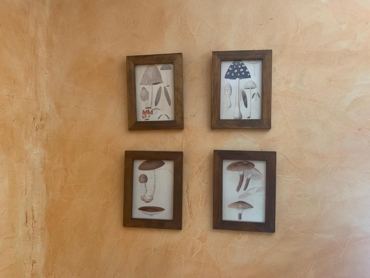 Casa Del Plantel Διαμέρισμα San Ildefonso Εξωτερικό φωτογραφία